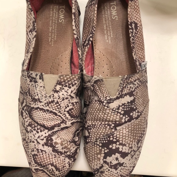 Toms - Picture 3 of 3